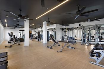 Fitness Center With Updated Equipment at Terraces at High Mountain, Alabama, 35811